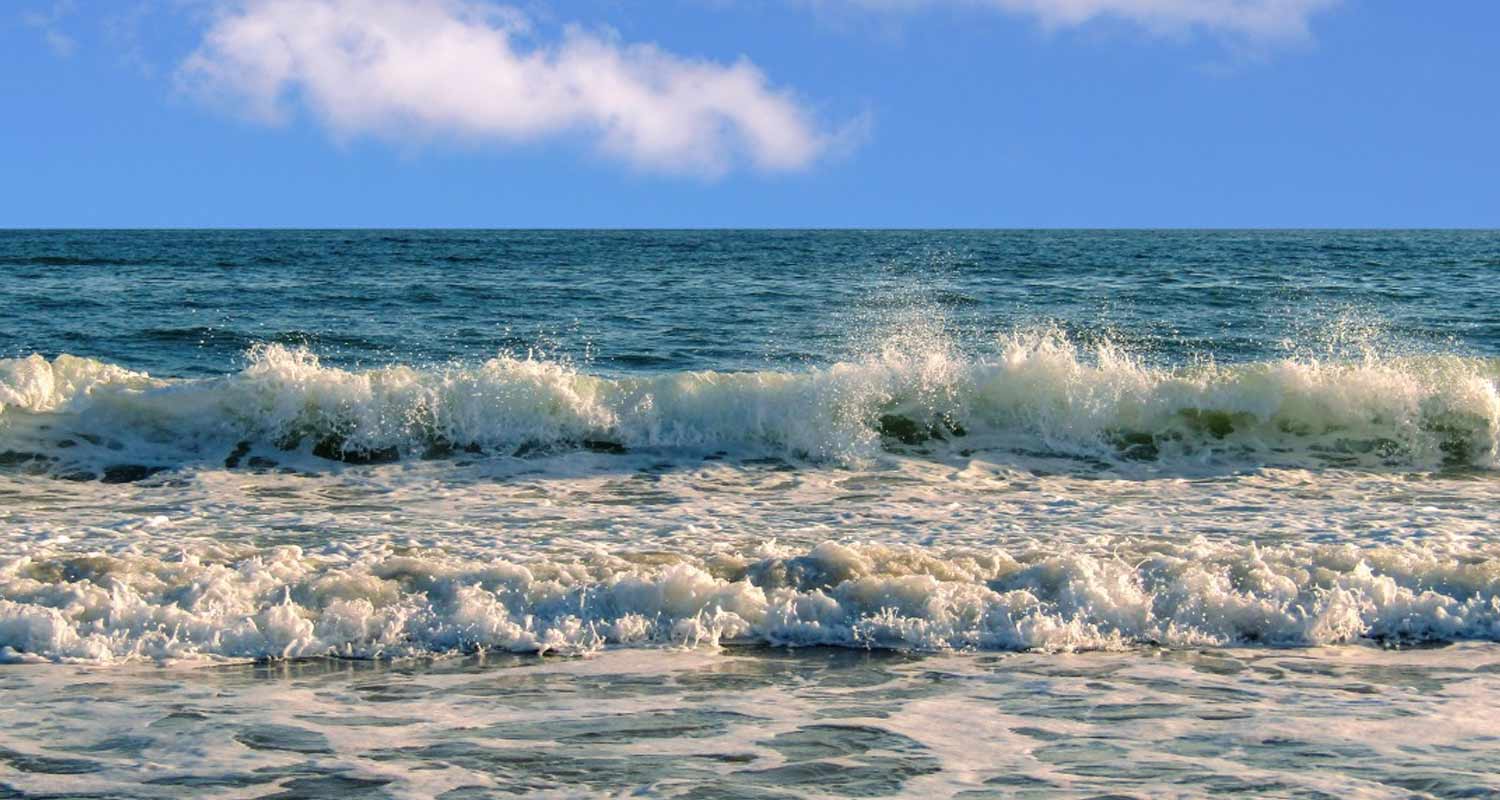 Nuovi virus scoperti negli oceani