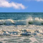 Nuovi virus scoperti negli oceani