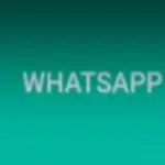 WhatsApp come nascondere lo stato online, solo Android