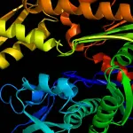 Ripiegamento delle proteine, la scoperta del 2021