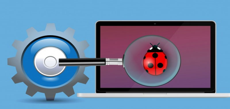 Bug, ecco di cosa si tratta