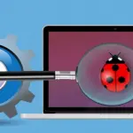 Bug, ecco di cosa si tratta