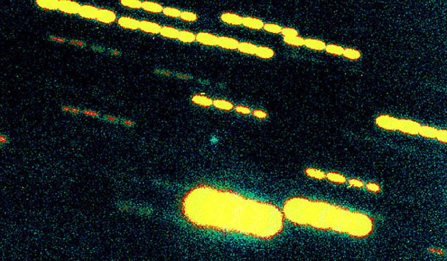 46P/Wirtanen, la cometa di Natale è vicina