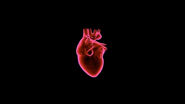 Cardiologia, l’italiana Aranzulla tra le migliori cardiologhe del mondo