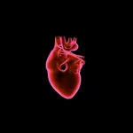 Cardiologia, l’italiana Aranzulla tra le migliori cardiologhe del mondo