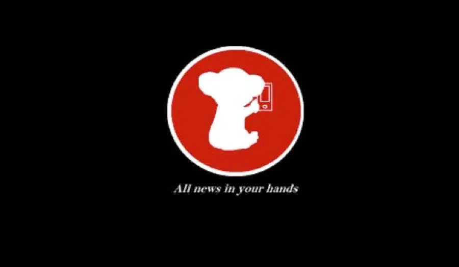 Koala News la app di notizie fatta su misura per i lettori