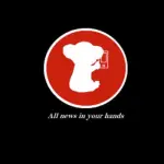 Koala News la app di notizie fatta su misura per i lettori