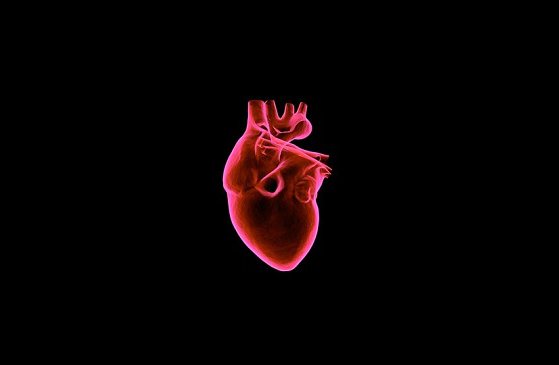 Cardiologia italiana Aranzulla tra le migliori cardiologhe del mondo
