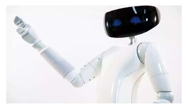 R1 il primo robot casalingo