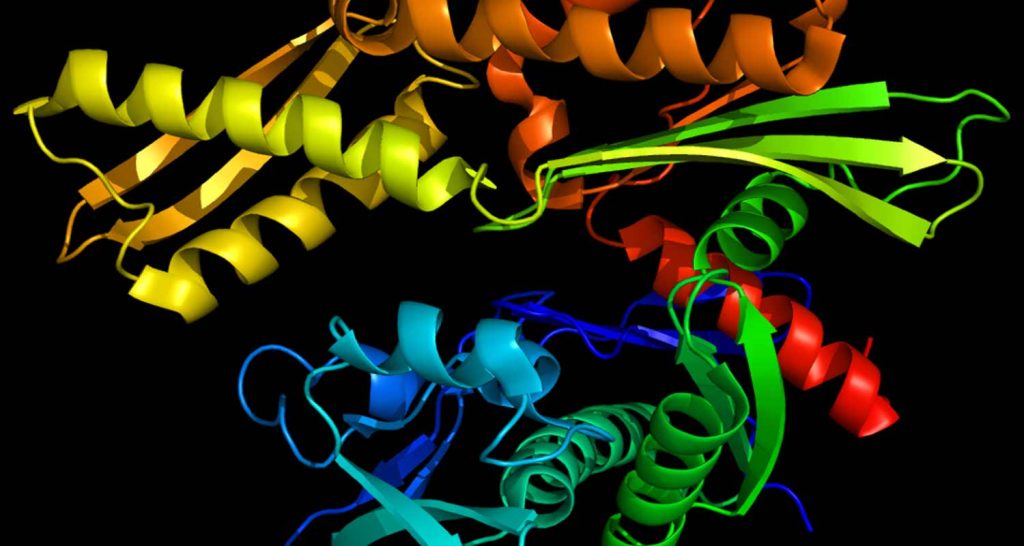Ripiegamento delle proteine la scoperta del 2021